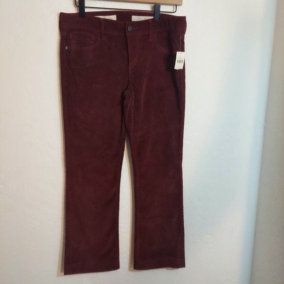 Anthropologie Pilcro and the Letterpress Pants - Picture 1 of 3